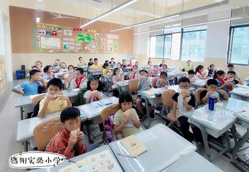 雙減政策下的溫度與深度 記暨陽實(shí)驗(yàn)小學(xué)教育集團(tuán)聯(lián)盟課后服務(wù)與教育咨詢服務(wù)